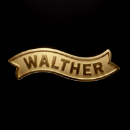 Walther OWB Holster
